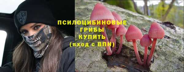 прущая мука Гусь-Хрустальный