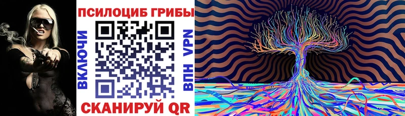Псилоцибиновые грибы мицелий  Юрга 
